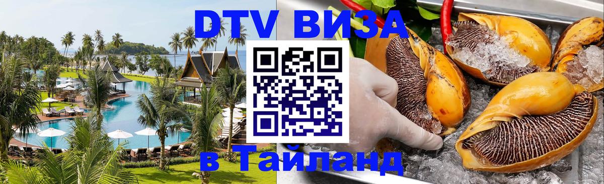 Сколько стоит DTV виза — актуальные цены, оформление даже без документов - Берлин 